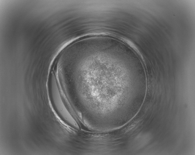 X0000061110951200512022122