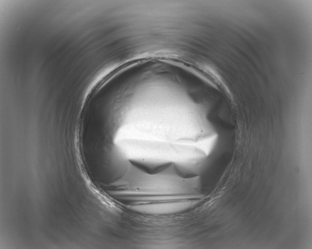 X0000061110952200512022122