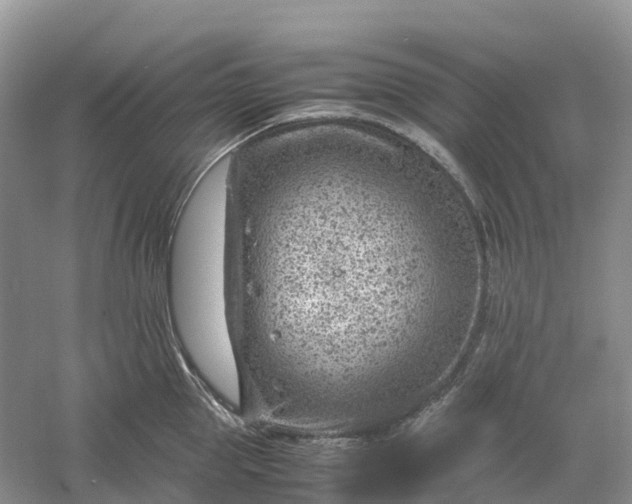 X0000061110953200512022122