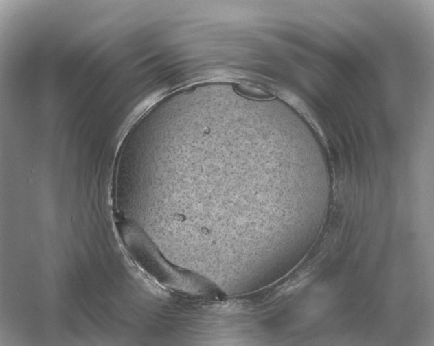 X0000061110954200512022122