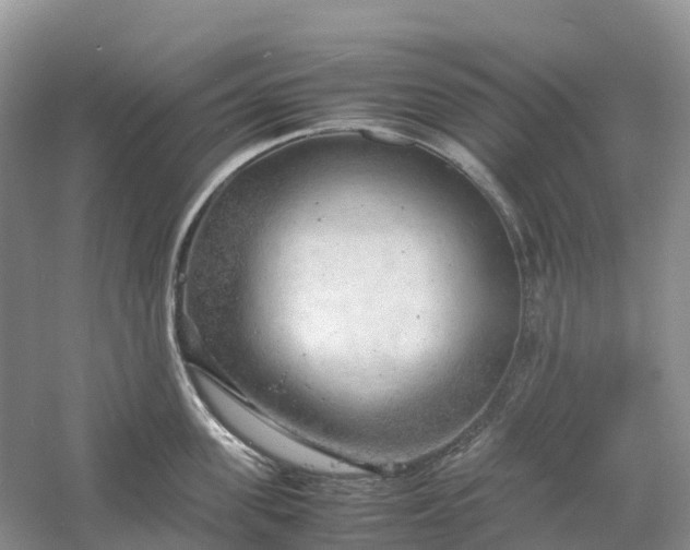 X0000061110955200512022122