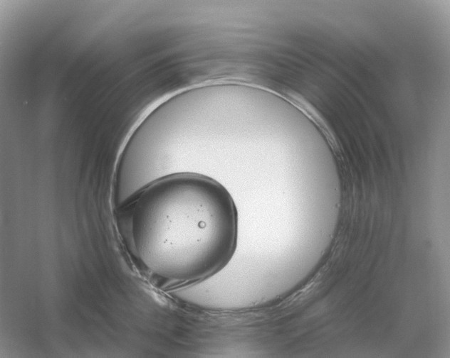 X0000061110956200512022122