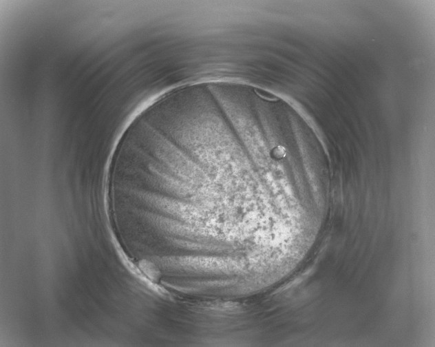 X0000061110957200512022122