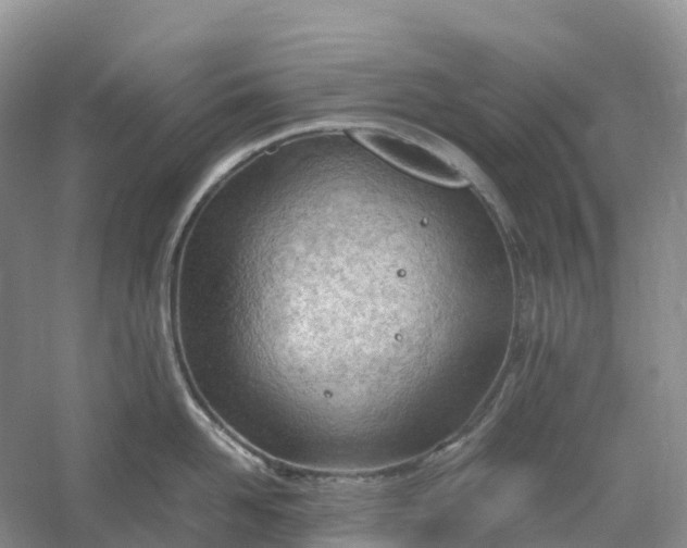 X0000061110958200512022122