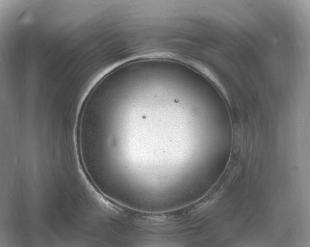 X0000061110959200512022122