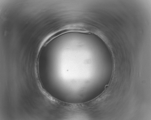 X0000061110960200512022122