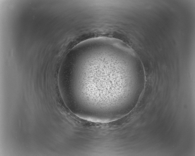 X0000061110961200512022121