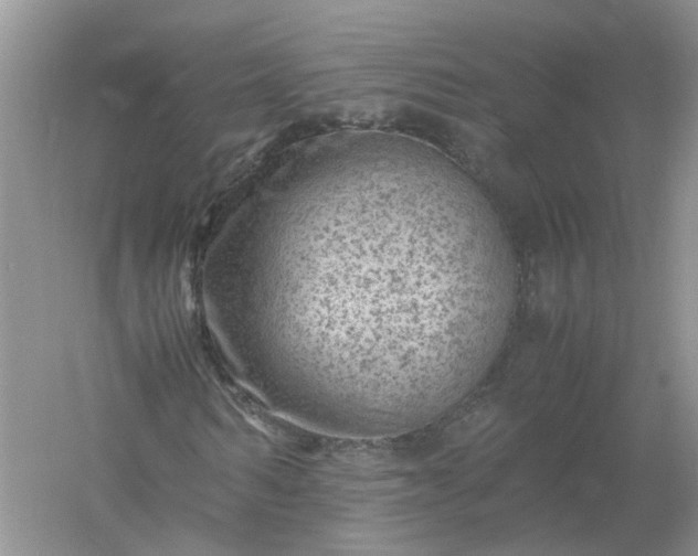 X0000061110962200512022121