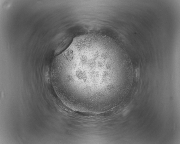 X0000061110963200512022121