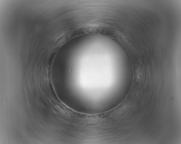 X0000061110964200512022121