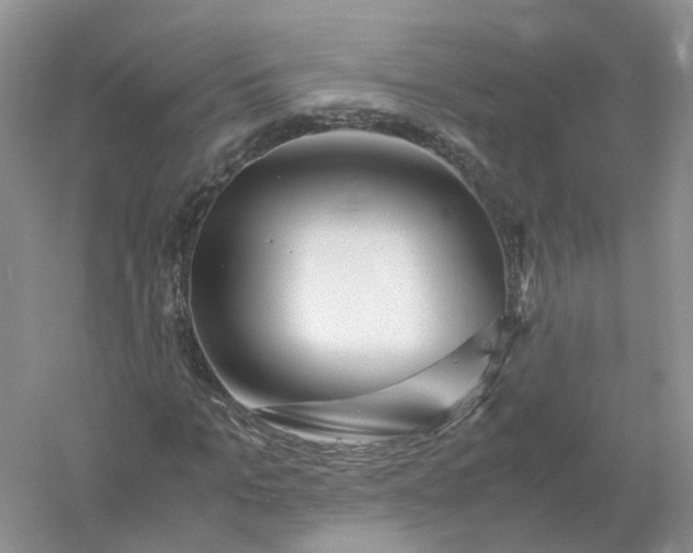 X0000061110965200512022121