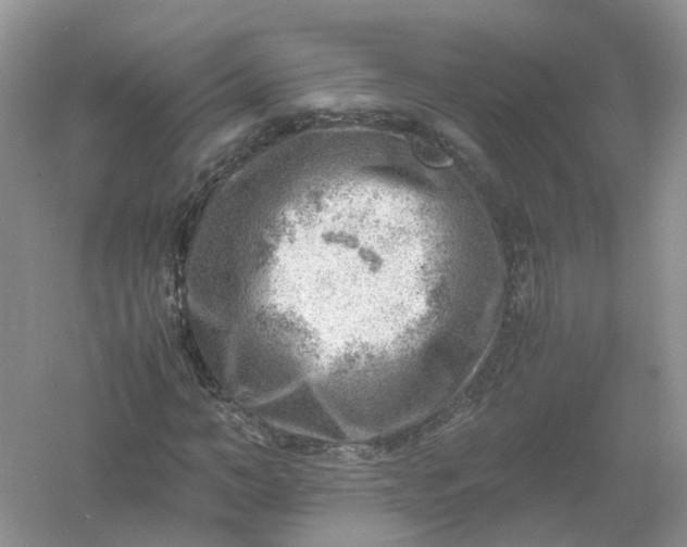 X0000061110966200512022121