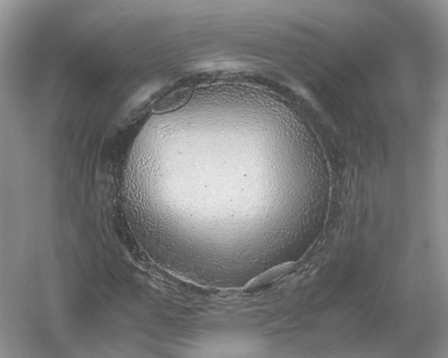 X0000061110967200512022121