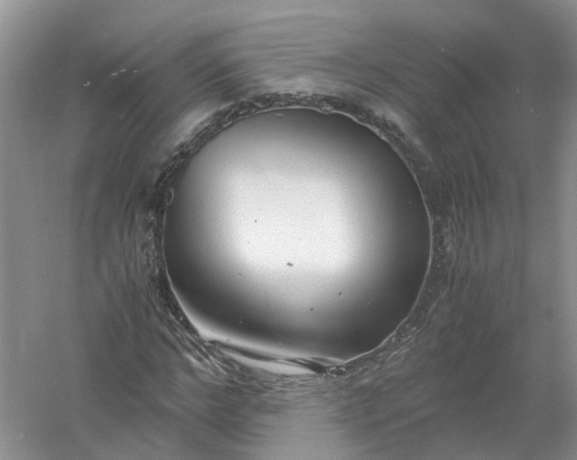 X0000061110968200512022121