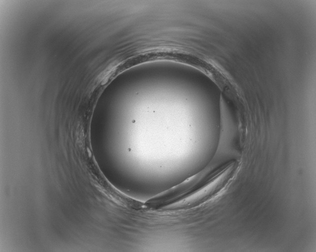 X0000061110969200512022121