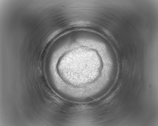 X0000061110970200512022121