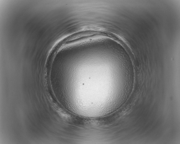 X0000061110971200512022121