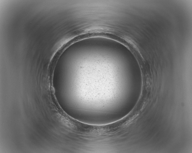 X0000061110973200512022121