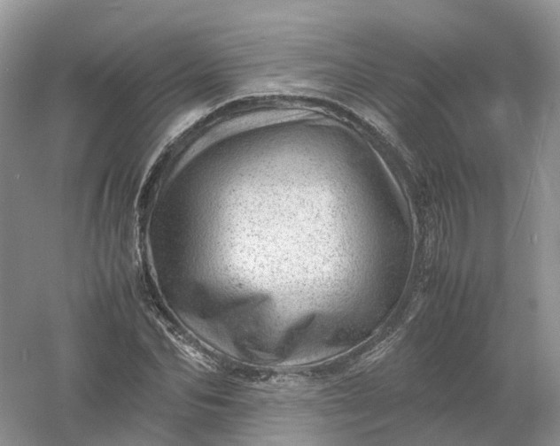 X0000061110974200512022121