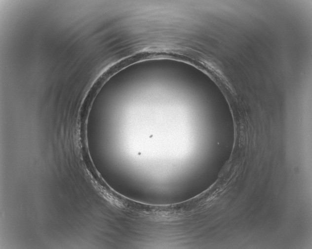 X0000061110976200512022121