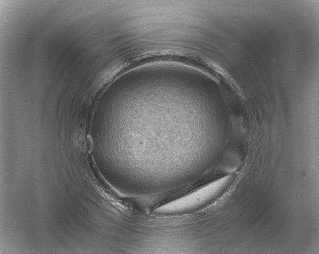 X0000061110977200512022121