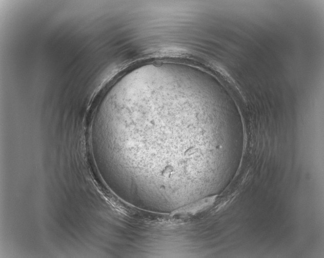 X0000061110978200512022121