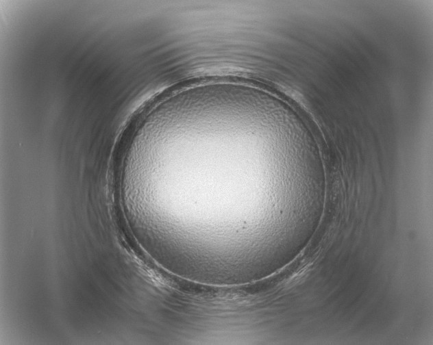 X0000061110979200512022121