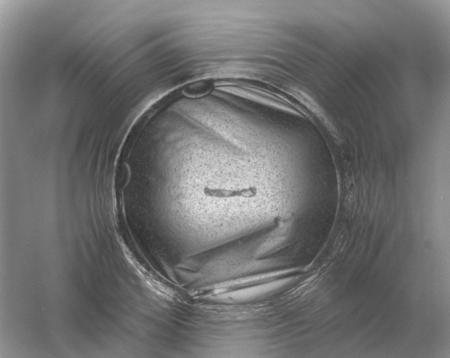 X0000061110980200512022121