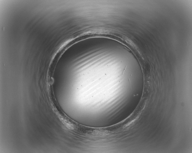 X0000061110981200512022121