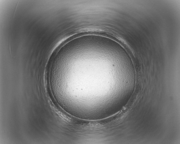 X0000061110983200512022121