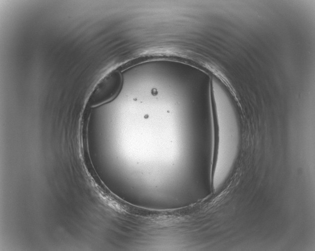 X0000061110984200512022121