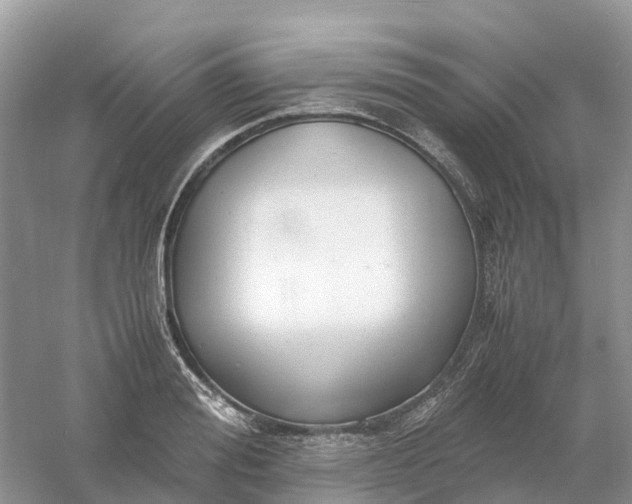 X0000061110988200512022121