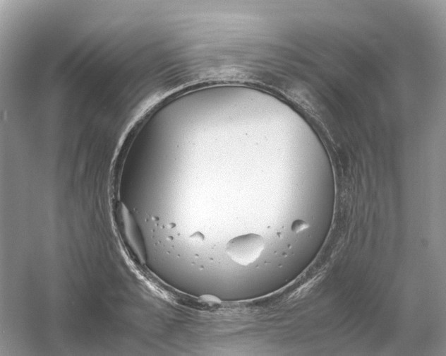 X0000061110989200512022121