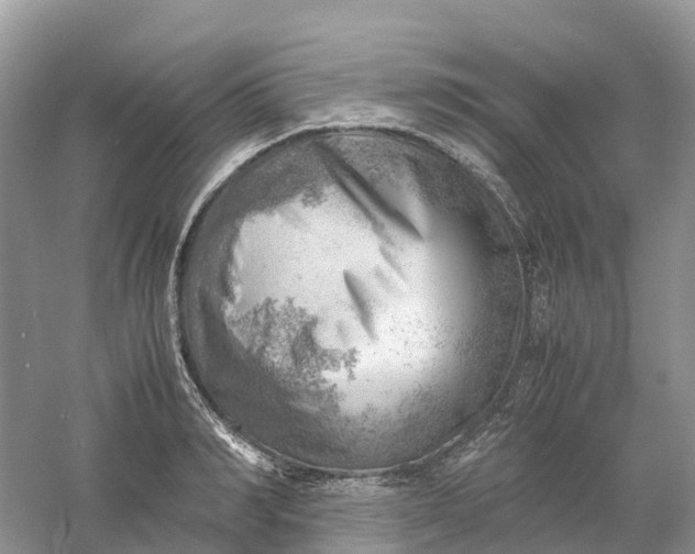 X0000061110990200512022121