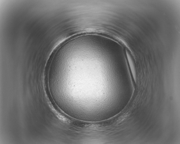 X0000061110991200512022121