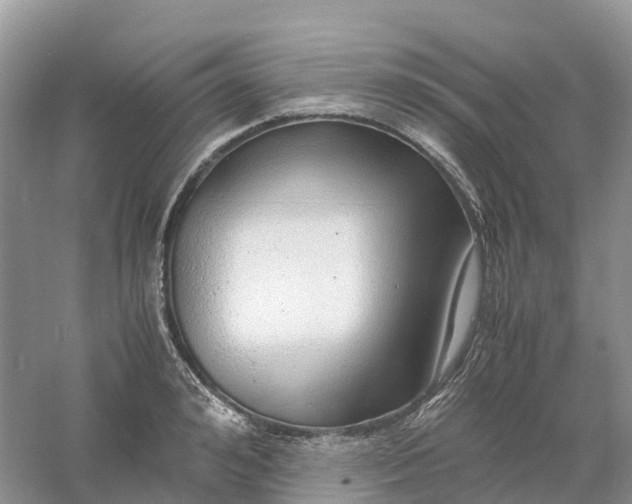 X0000061110992200512022121