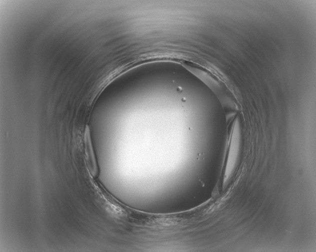 X0000061110993200512022121