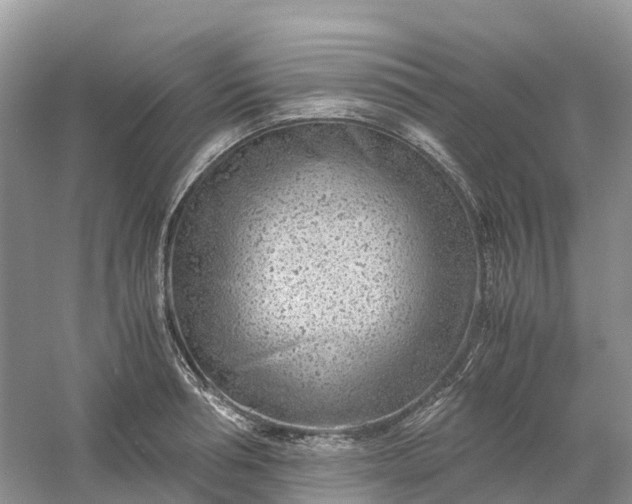 X0000061110994200512022121