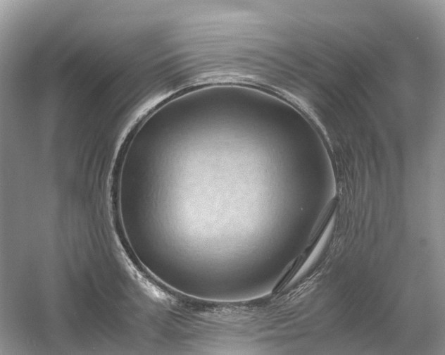 X0000061110995200512022121