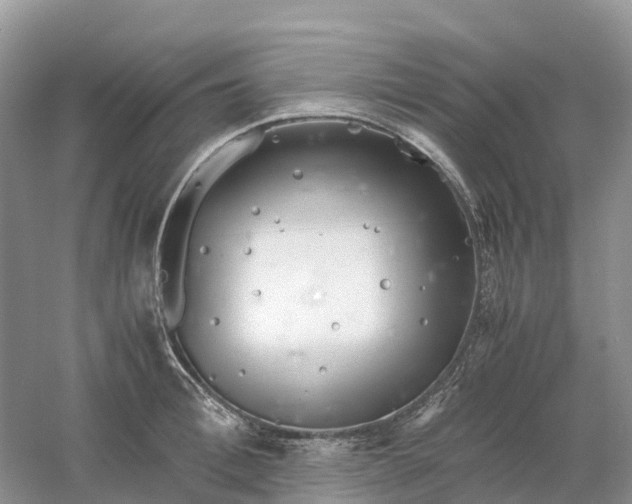 X0000061110996200512022121