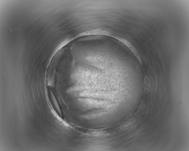 X0000061110998200512022120