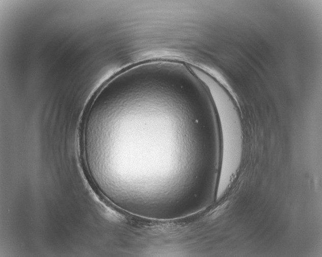 X0000061110999200512022120