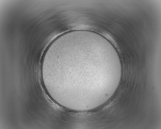 X0000061111000200512022120