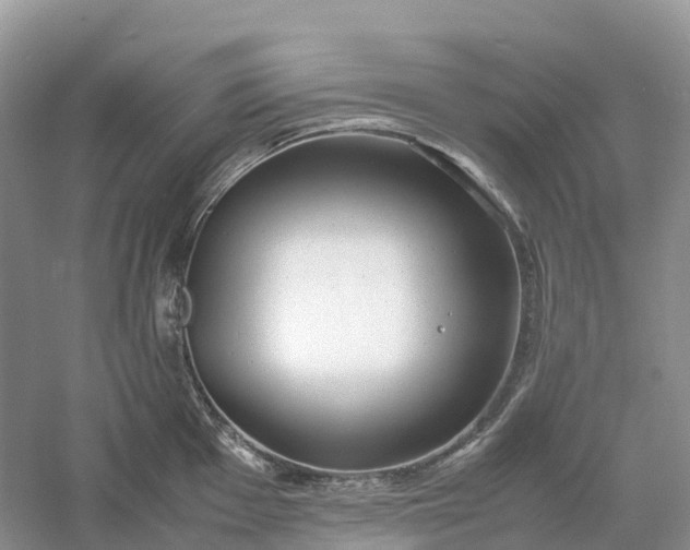 X0000061111001200512022120