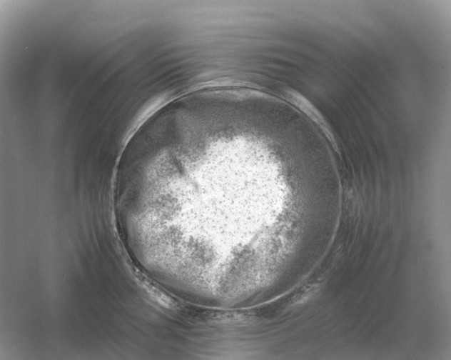 X0000061111002200512022120