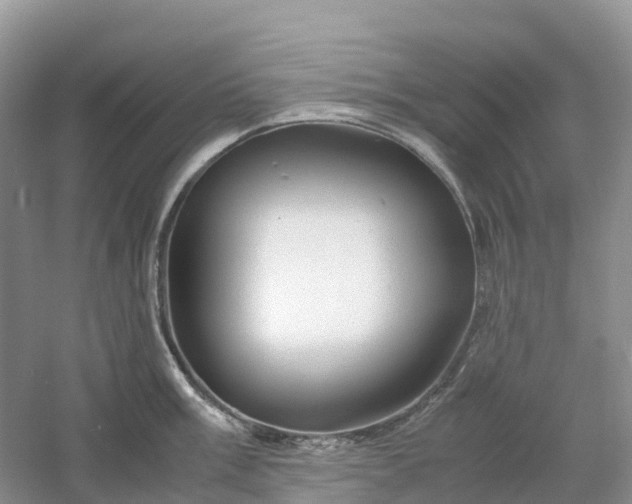 X0000061111003200512022120