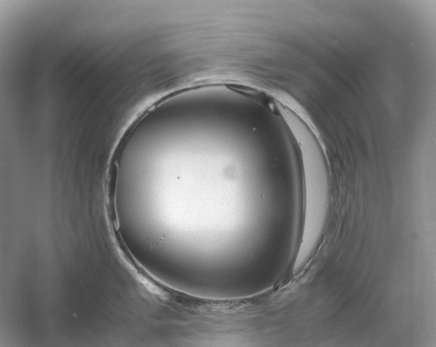 X0000061111005200512022120