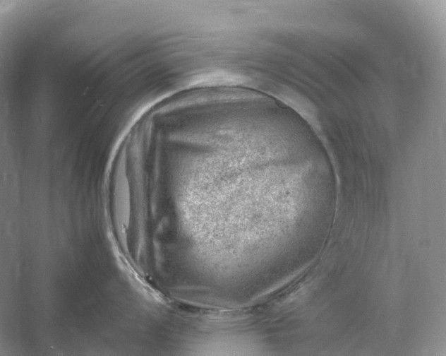 X0000061111008200512022120