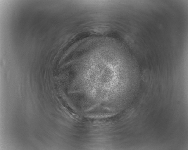 X0000061111009200512022119