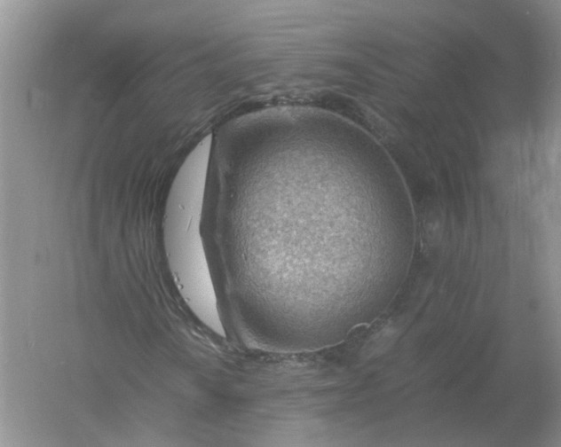 X0000061111010200512022119